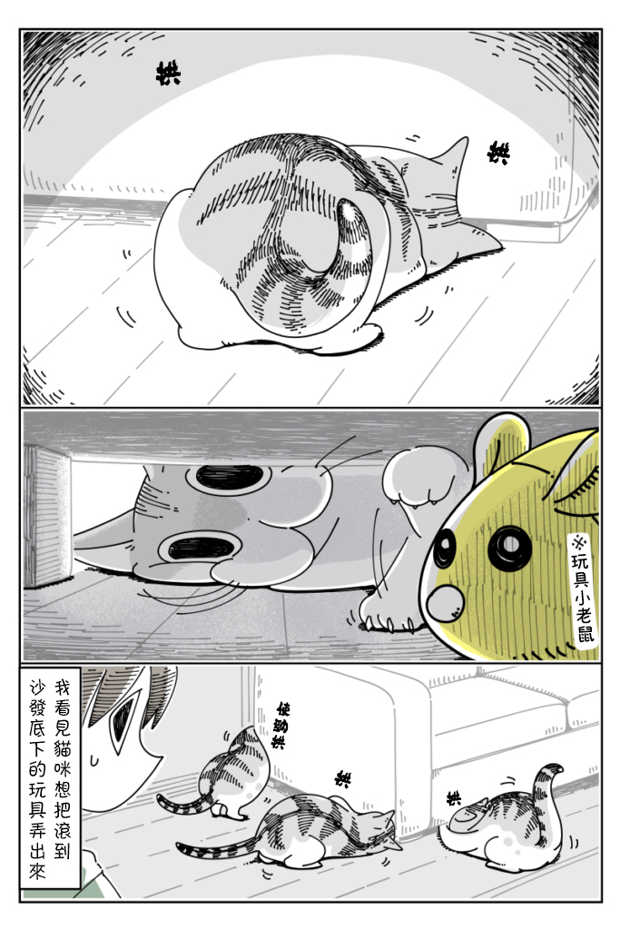 《关于养猫我一直是新手》漫画最新章节第34话免费下拉式在线观看章节第【1】张图片