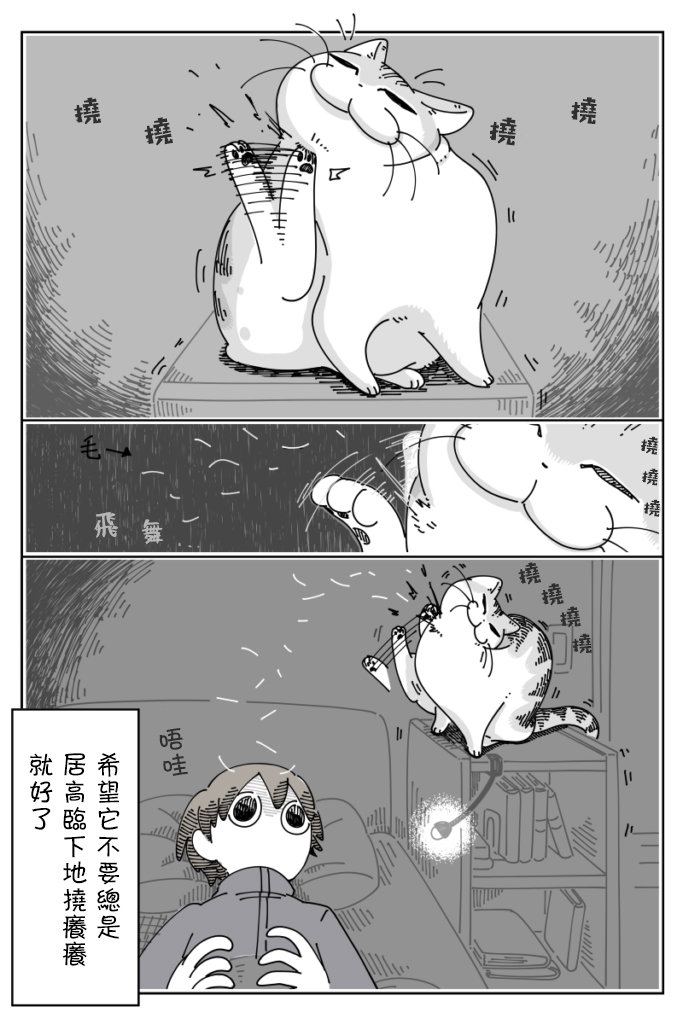 《关于养猫我一直是新手》漫画最新章节第56话免费下拉式在线观看章节第【2】张图片