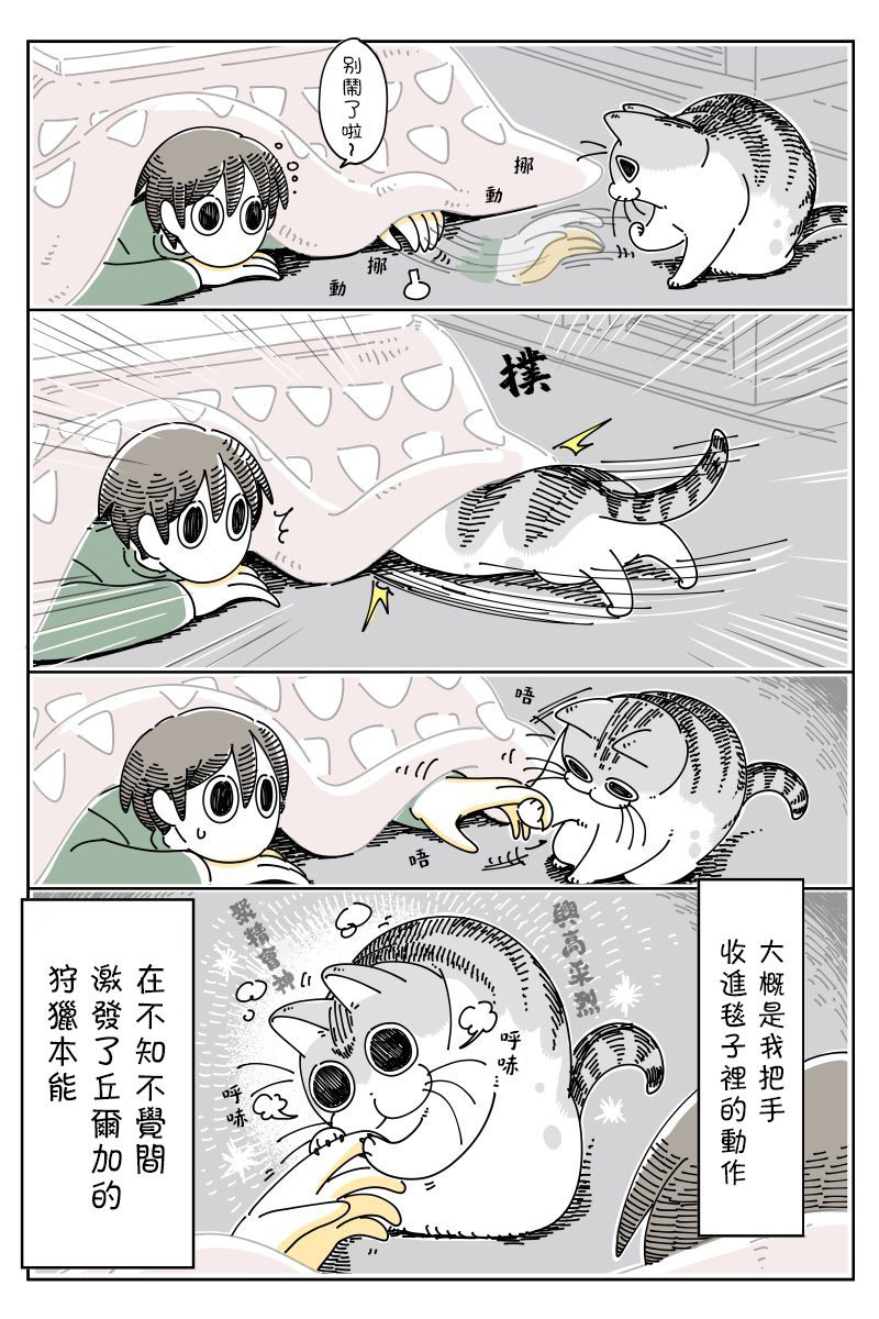 《关于养猫我一直是新手》漫画最新章节第45话免费下拉式在线观看章节第【3】张图片