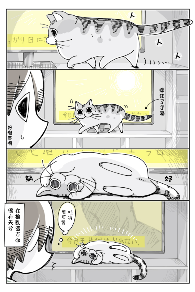 《关于养猫我一直是新手》漫画最新章节第21话免费下拉式在线观看章节第【3】张图片