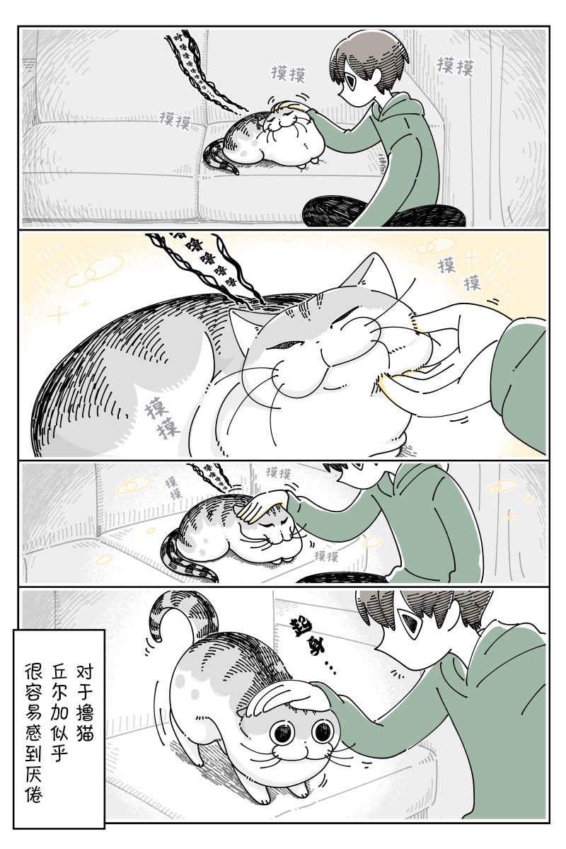 《关于养猫我一直是新手》漫画最新章节第92话免费下拉式在线观看章节第【1】张图片