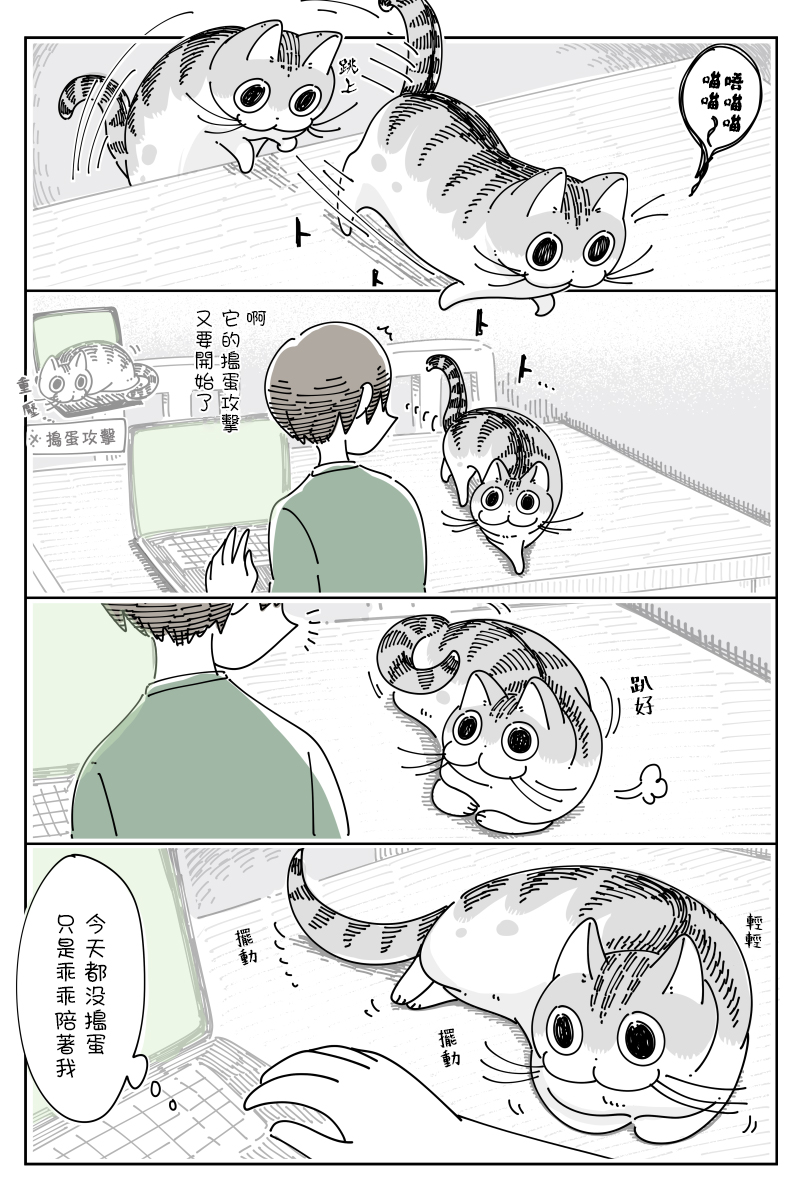 《关于养猫我一直是新手》漫画最新章节第70话免费下拉式在线观看章节第【1】张图片