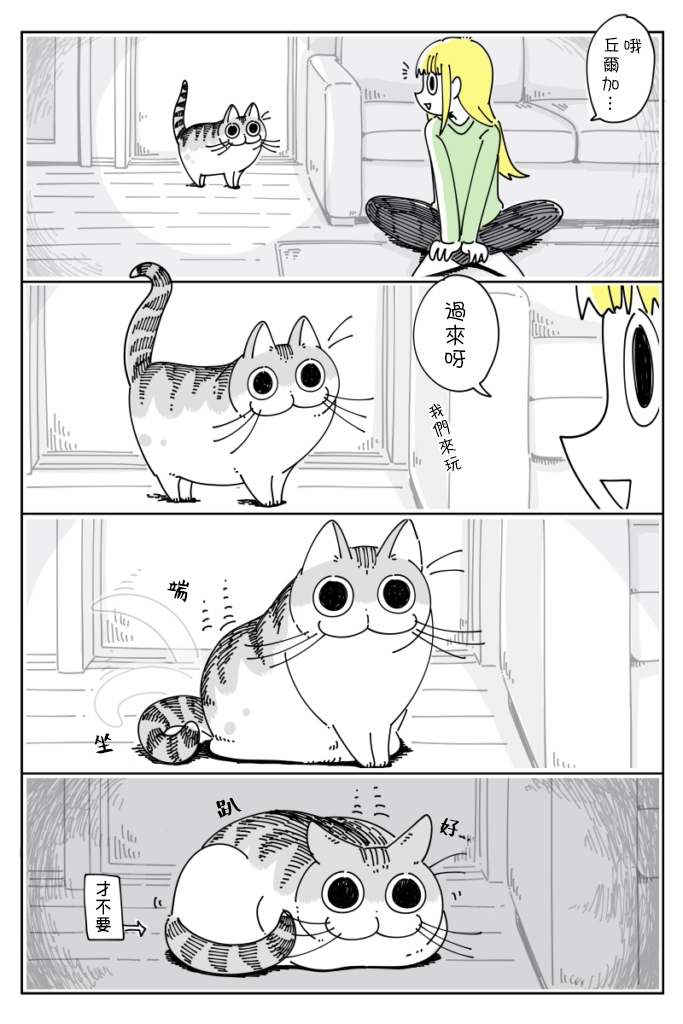 《关于养猫我一直是新手》漫画最新章节第39话免费下拉式在线观看章节第【1】张图片