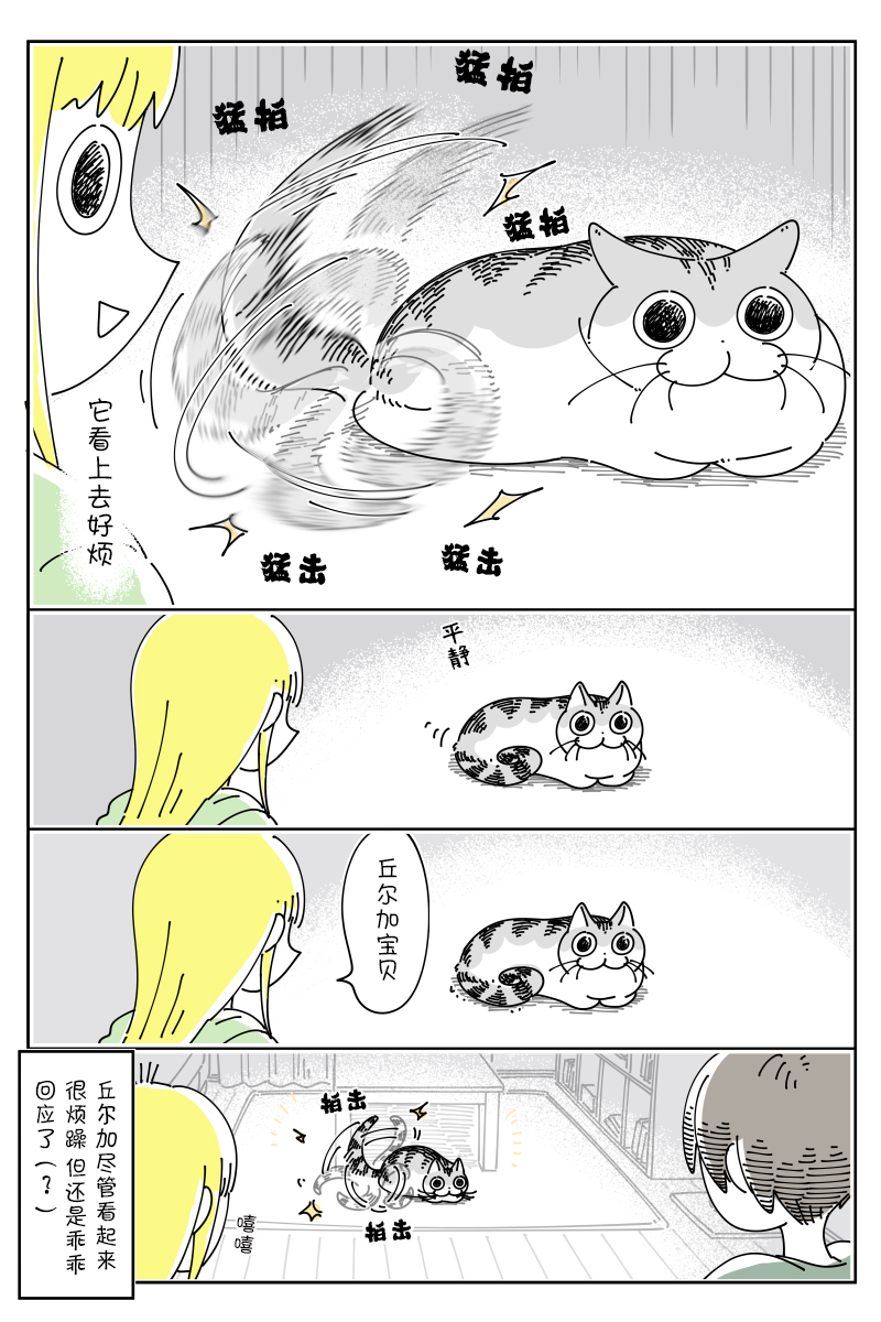 《关于养猫我一直是新手》漫画最新章节第118话免费下拉式在线观看章节第【3】张图片