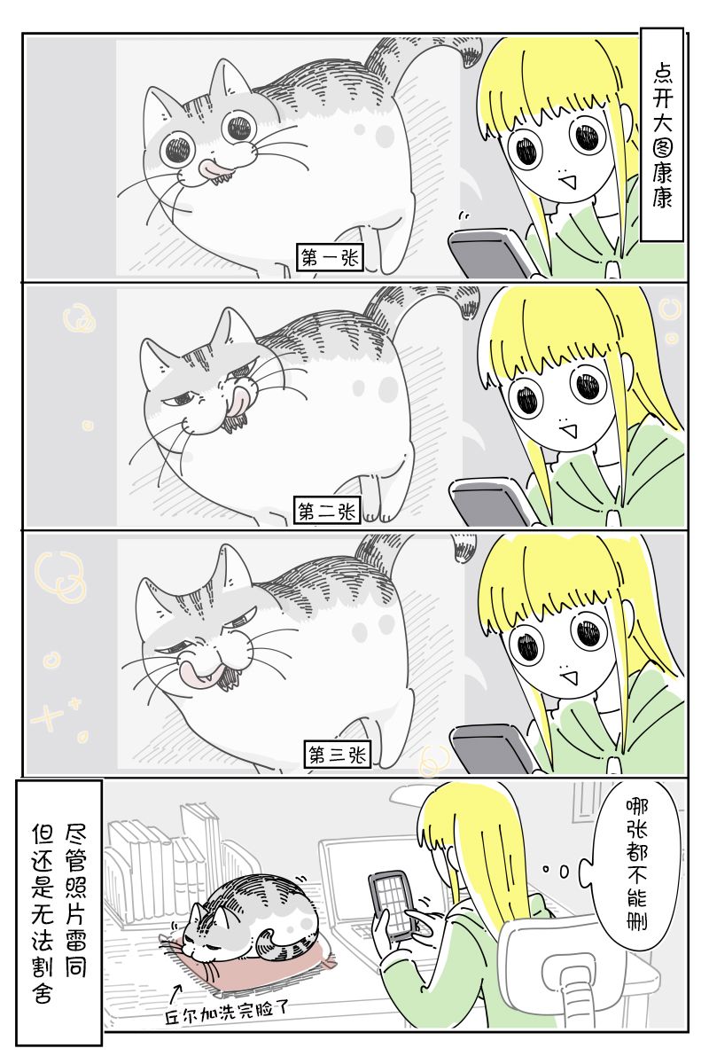 《关于养猫我一直是新手》漫画最新章节第135话免费下拉式在线观看章节第【3】张图片