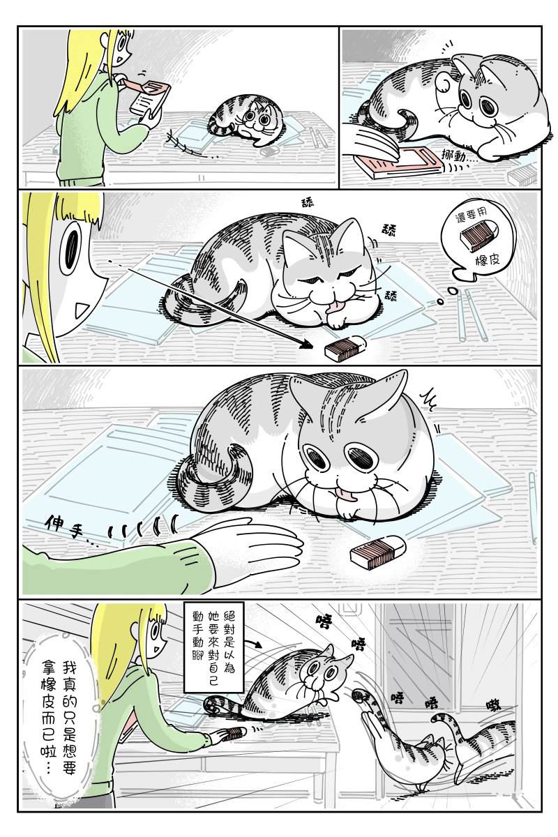 《关于养猫我一直是新手》漫画最新章节第50话免费下拉式在线观看章节第【2】张图片