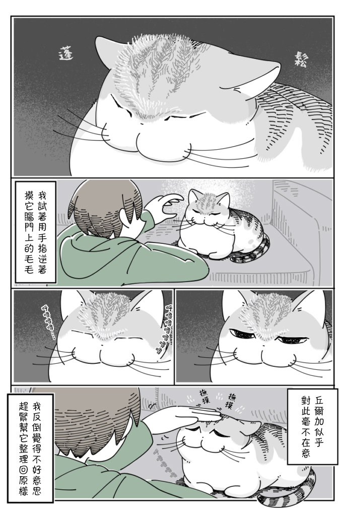 《关于养猫我一直是新手》漫画最新章节第57话免费下拉式在线观看章节第【2】张图片