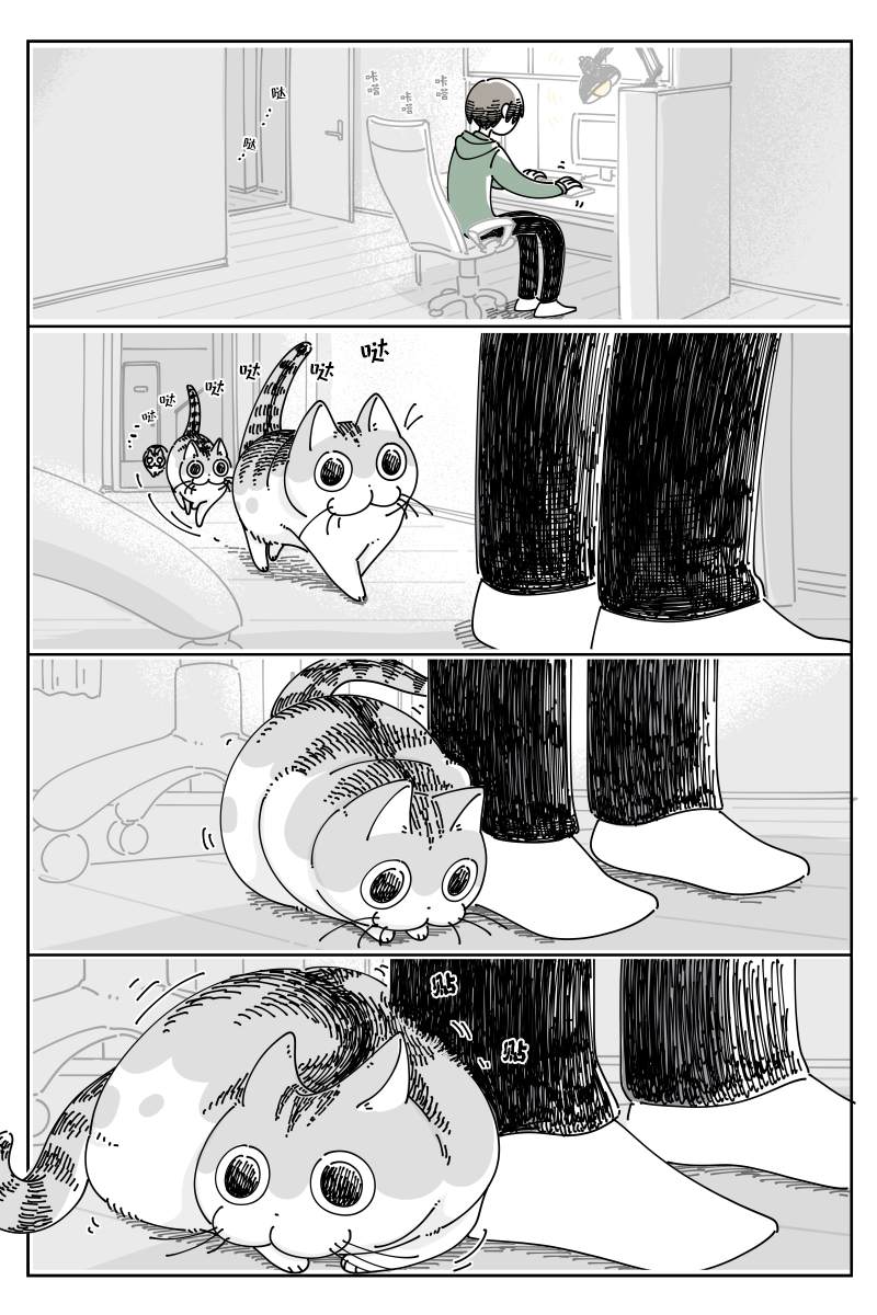 《关于养猫我一直是新手》漫画最新章节第116话免费下拉式在线观看章节第【1】张图片