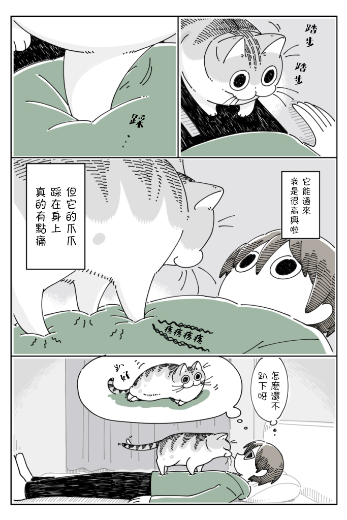 《关于养猫我一直是新手》漫画最新章节第63话免费下拉式在线观看章节第【2】张图片