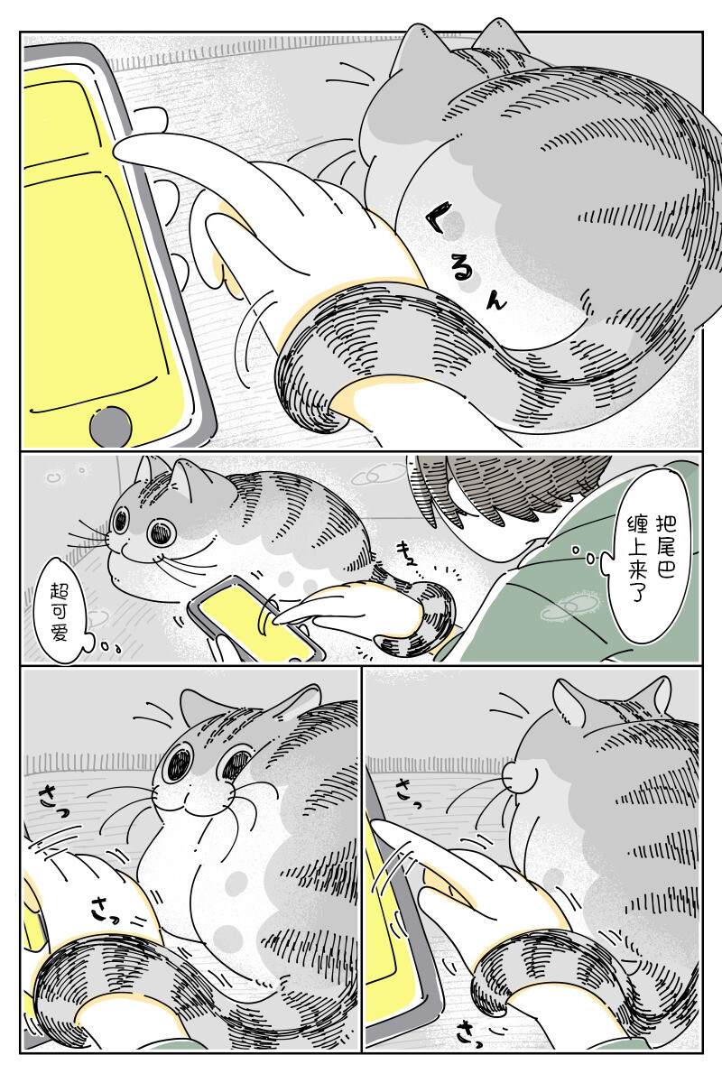 《关于养猫我一直是新手》漫画最新章节第148话免费下拉式在线观看章节第【2】张图片