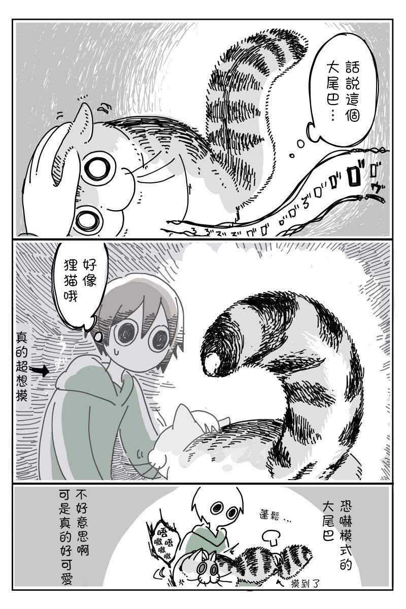 《关于养猫我一直是新手》漫画最新章节第6话免费下拉式在线观看章节第【4】张图片