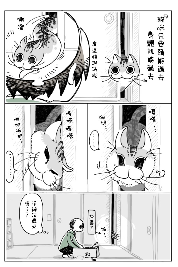 《关于养猫我一直是新手》漫画最新章节第5话免费下拉式在线观看章节第【16】张图片