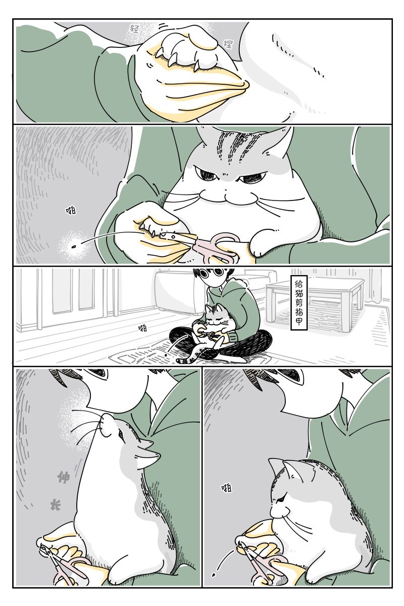 《关于养猫我一直是新手》漫画最新章节第112话免费下拉式在线观看章节第【1】张图片