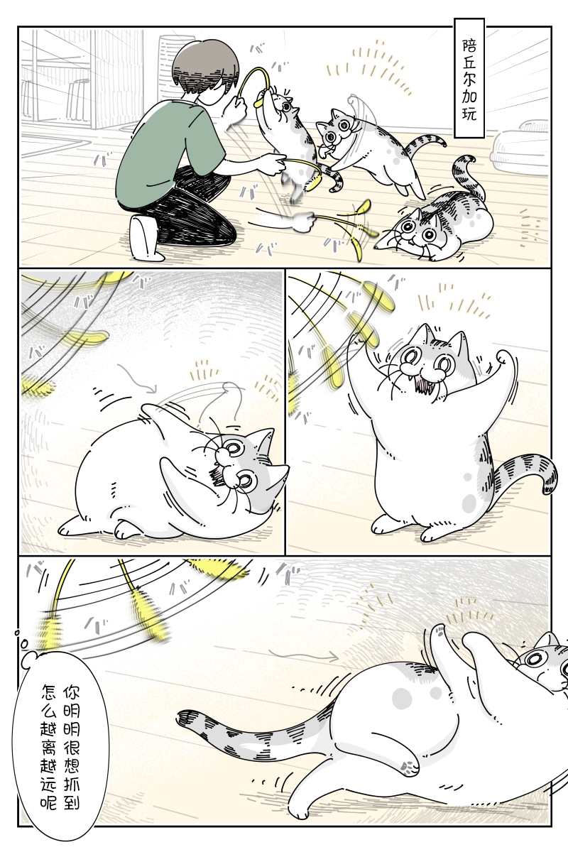 《关于养猫我一直是新手》漫画最新章节第131话免费下拉式在线观看章节第【1】张图片