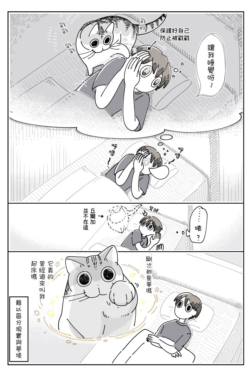 《关于养猫我一直是新手》漫画最新章节第69话免费下拉式在线观看章节第【3】张图片