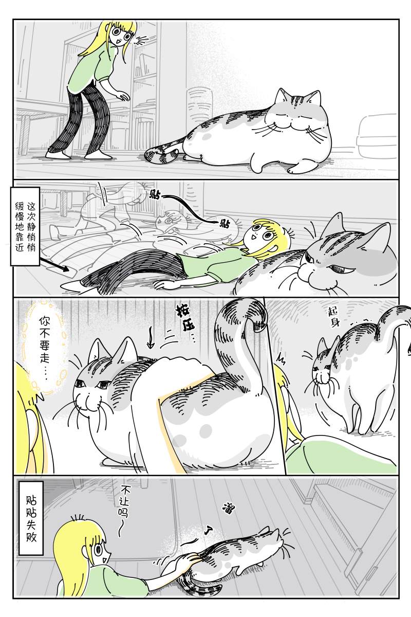 《关于养猫我一直是新手》漫画最新章节第125话免费下拉式在线观看章节第【2】张图片