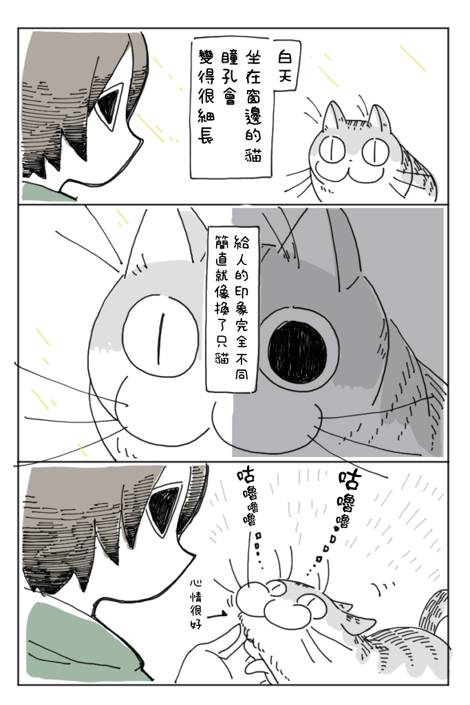 《关于养猫我一直是新手》漫画最新章节第3话免费下拉式在线观看章节第【13】张图片