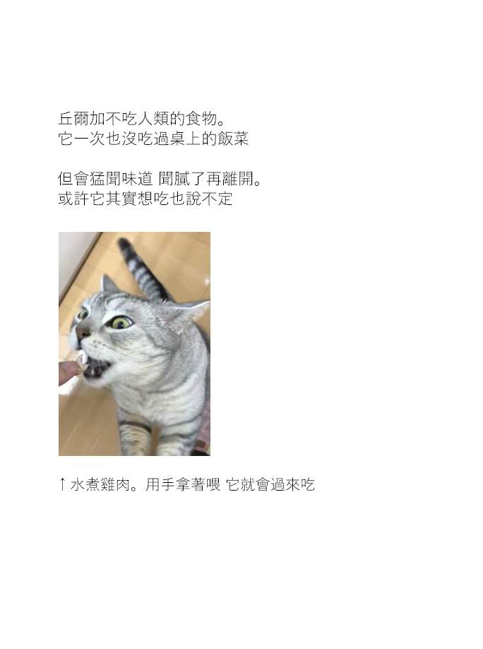 《关于养猫我一直是新手》漫画最新章节第9话免费下拉式在线观看章节第【5】张图片