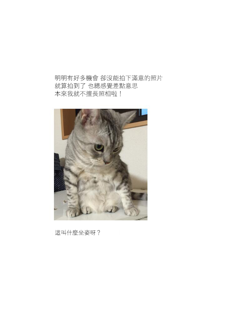 《关于养猫我一直是新手》漫画最新章节第7话免费下拉式在线观看章节第【5】张图片