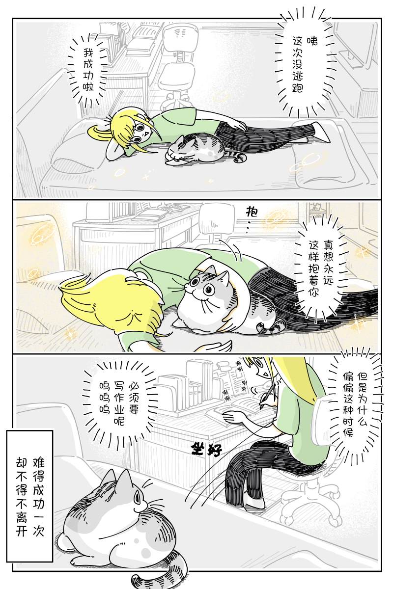 《关于养猫我一直是新手》漫画最新章节第125话免费下拉式在线观看章节第【4】张图片