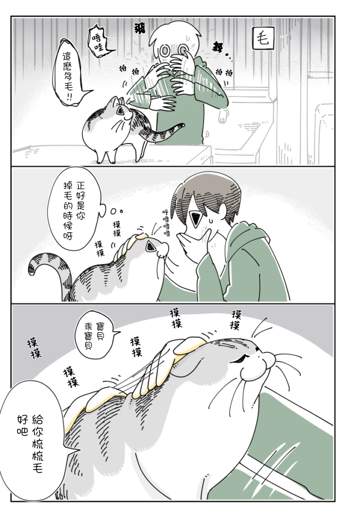 《关于养猫我一直是新手》漫画最新章节第65话免费下拉式在线观看章节第【2】张图片