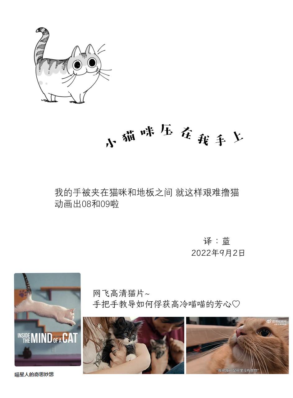 《关于养猫我一直是新手》漫画最新章节第130话免费下拉式在线观看章节第【3】张图片