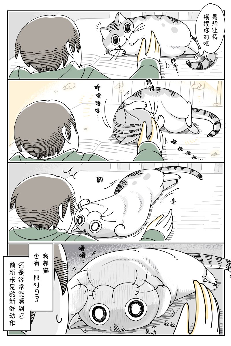 《关于养猫我一直是新手》漫画最新章节第103话免费下拉式在线观看章节第【2】张图片