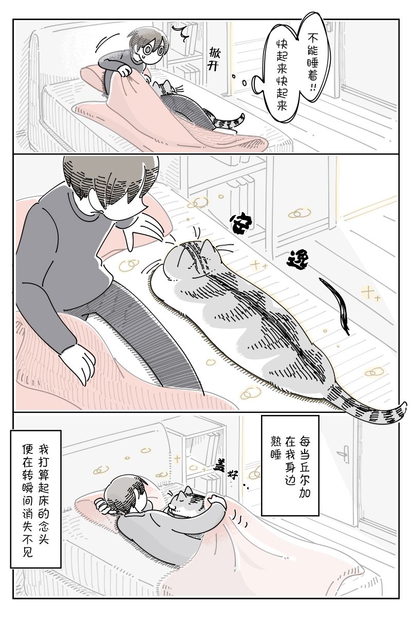 《关于养猫我一直是新手》漫画最新章节第94话免费下拉式在线观看章节第【3】张图片