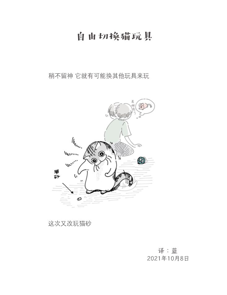 《关于养猫我一直是新手》漫画最新章节第85话免费下拉式在线观看章节第【3】张图片