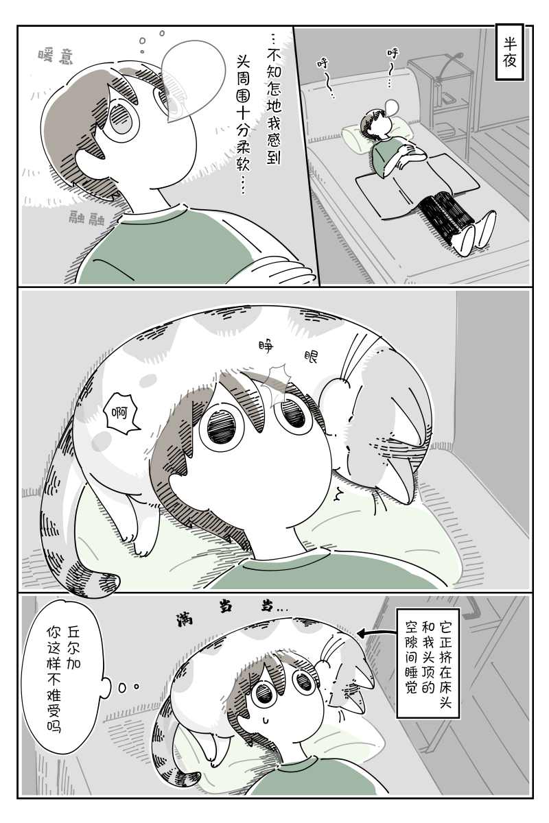 《关于养猫我一直是新手》漫画最新章节第80话免费下拉式在线观看章节第【1】张图片