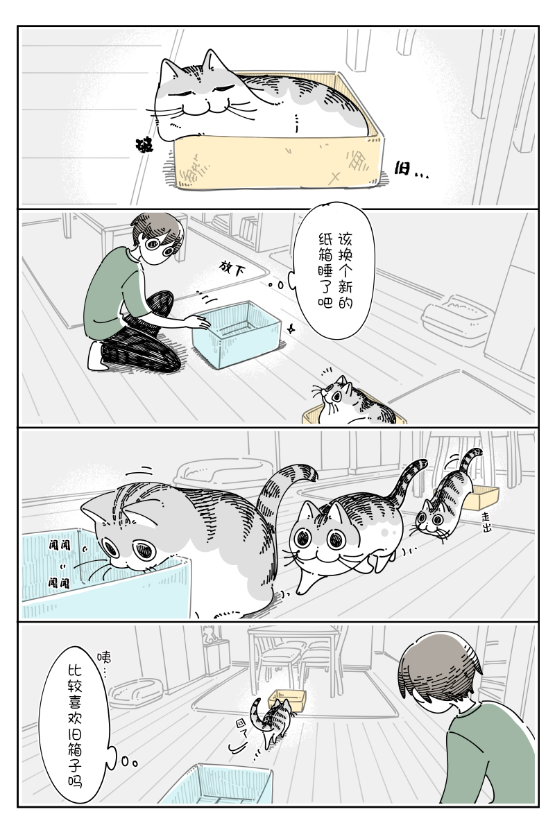 《关于养猫我一直是新手》漫画最新章节第119话免费下拉式在线观看章节第【1】张图片