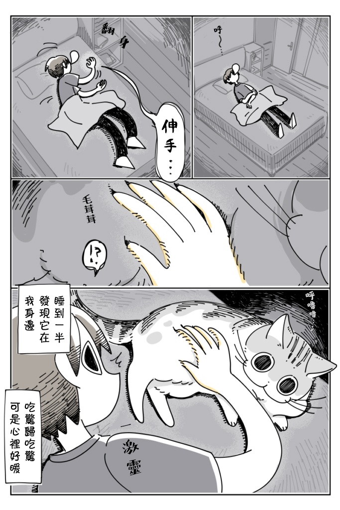 《关于养猫我一直是新手》漫画最新章节第24话免费下拉式在线观看章节第【3】张图片