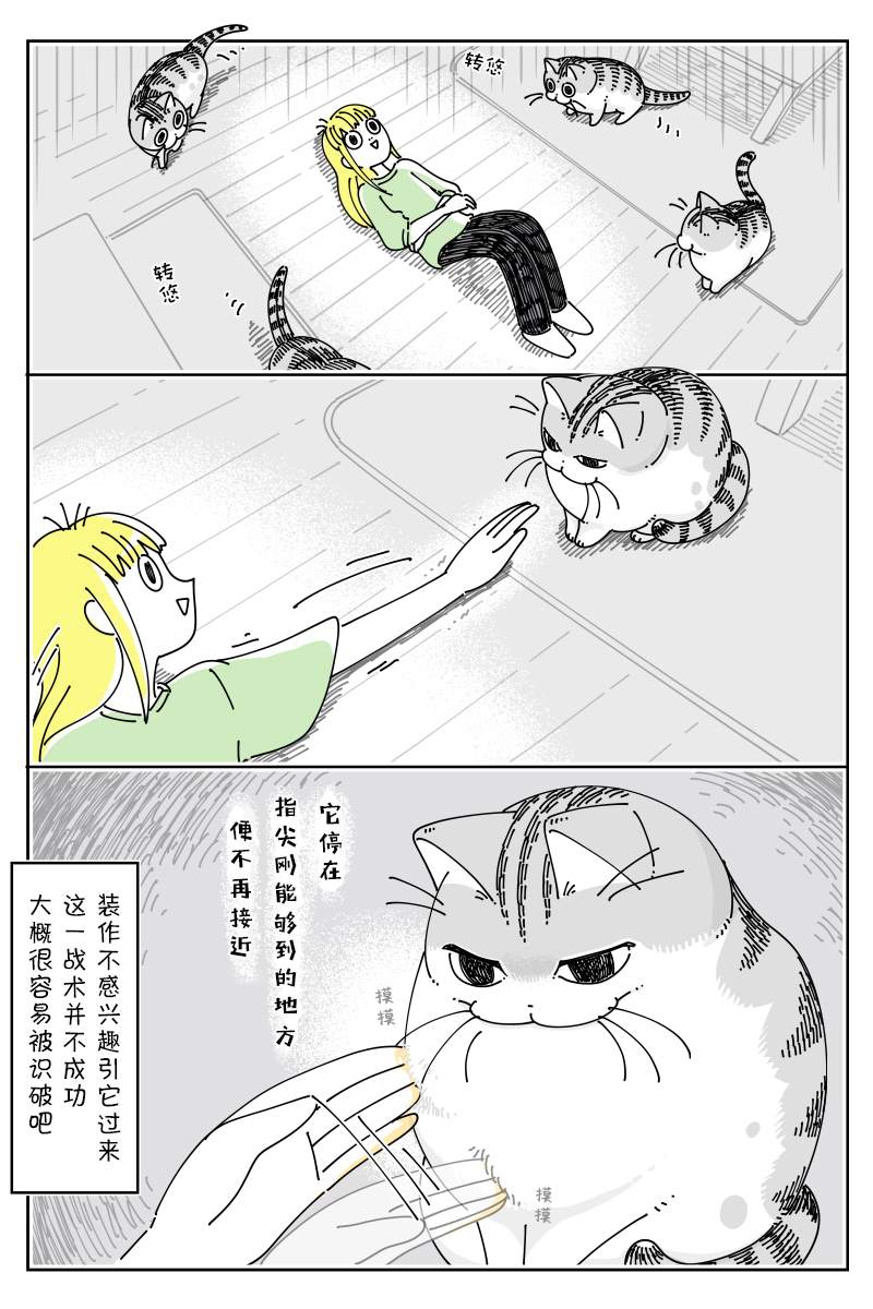 《关于养猫我一直是新手》漫画最新章节第132话免费下拉式在线观看章节第【4】张图片