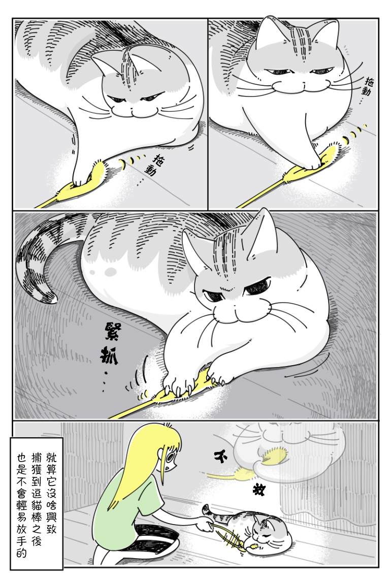 《关于养猫我一直是新手》漫画最新章节第72话免费下拉式在线观看章节第【3】张图片