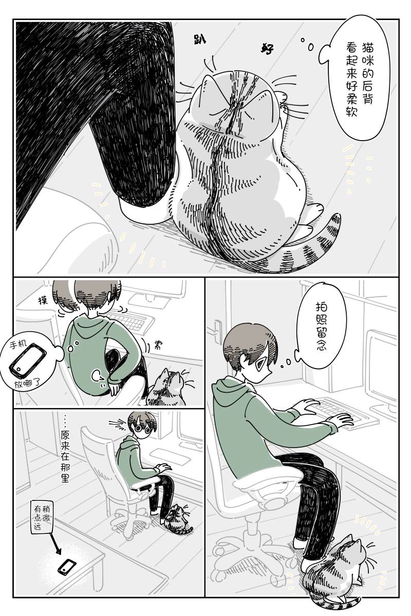 《关于养猫我一直是新手》漫画最新章节第116话免费下拉式在线观看章节第【2】张图片