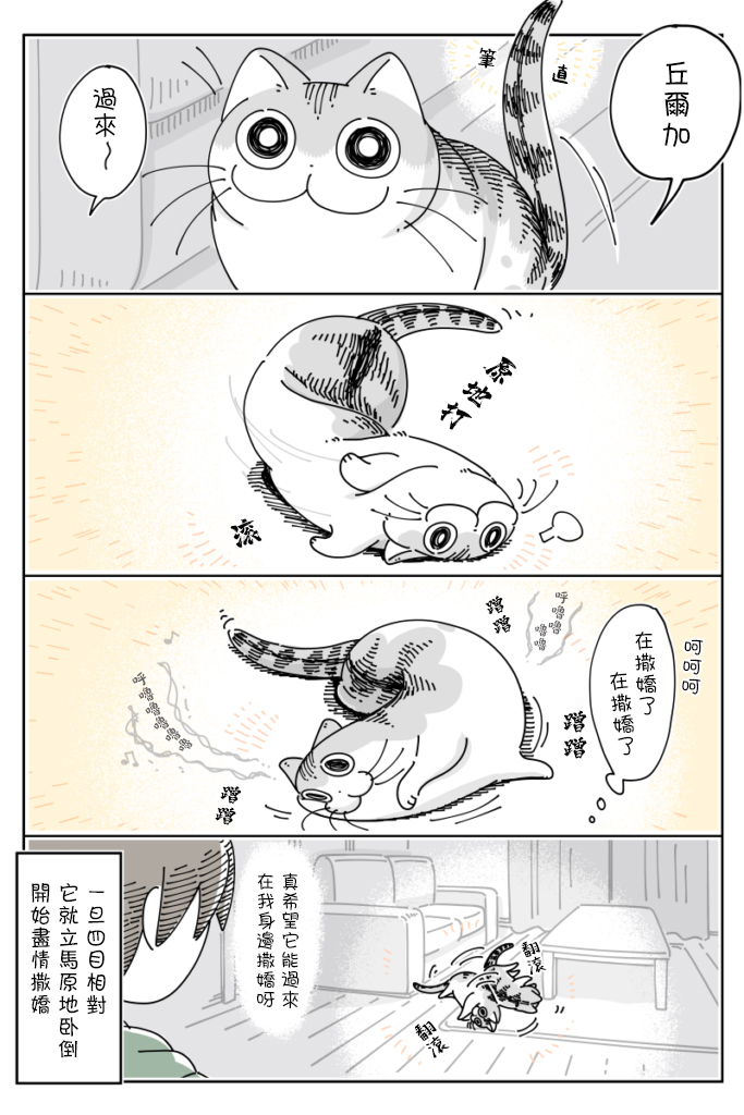 《关于养猫我一直是新手》漫画最新章节第58话免费下拉式在线观看章节第【2】张图片
