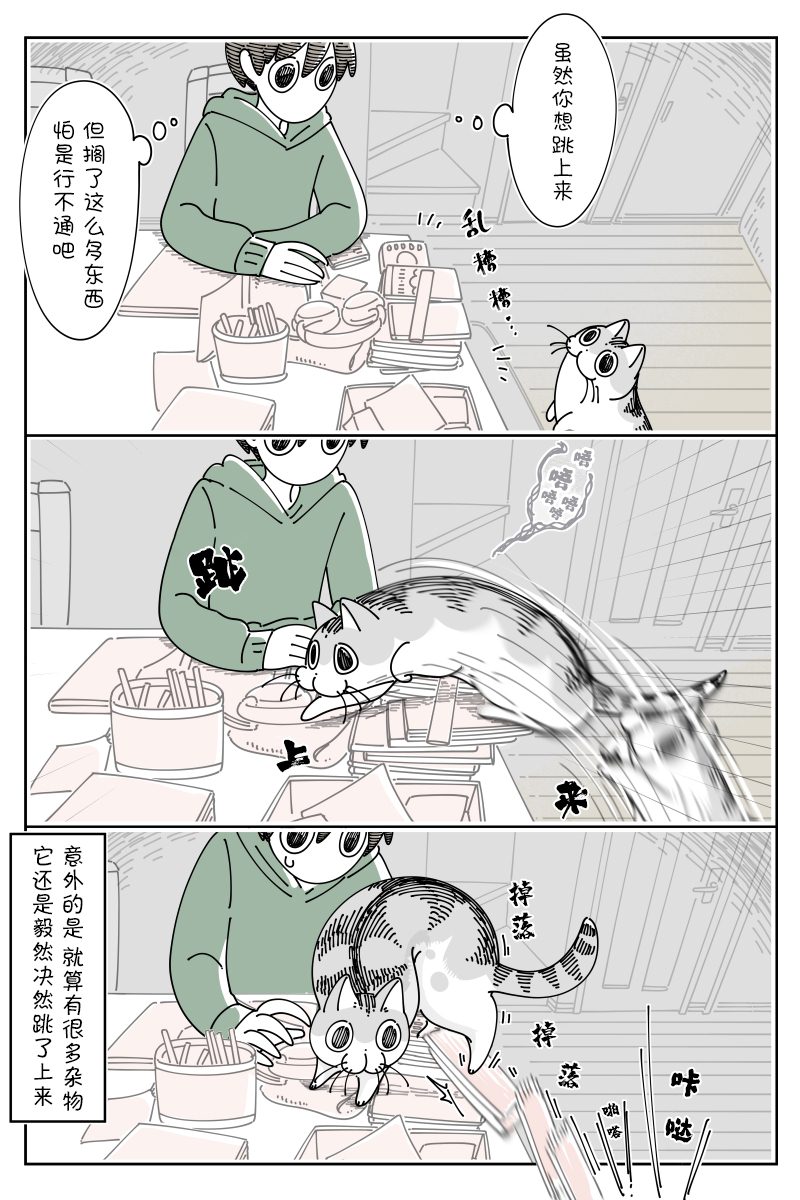 《关于养猫我一直是新手》漫画最新章节第107话免费下拉式在线观看章节第【2】张图片