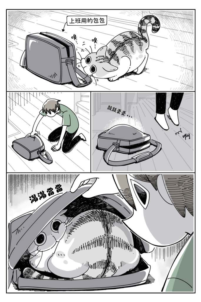 《关于养猫我一直是新手》漫画最新章节第28话免费下拉式在线观看章节第【1】张图片