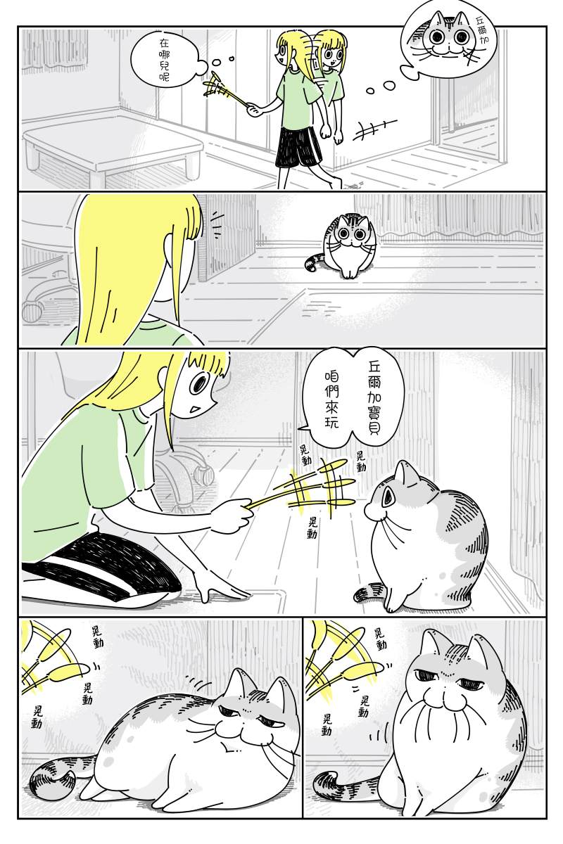 《关于养猫我一直是新手》漫画最新章节第72话免费下拉式在线观看章节第【1】张图片
