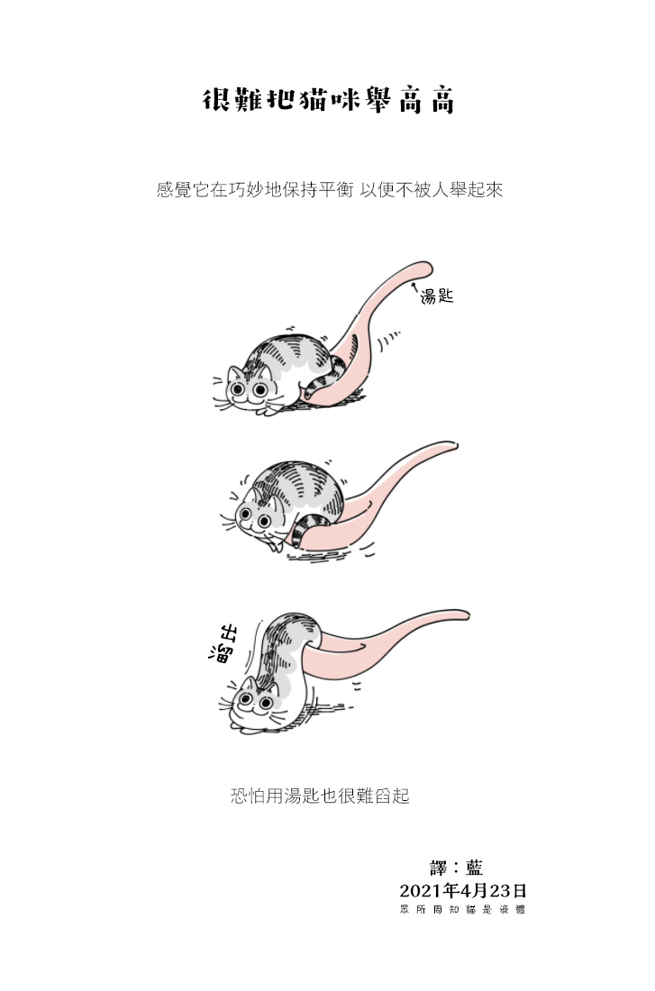 《关于养猫我一直是新手》漫画最新章节第61话免费下拉式在线观看章节第【4】张图片