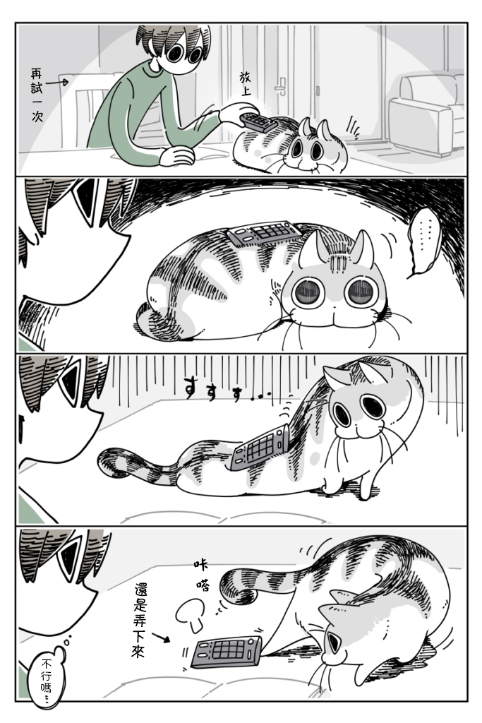 《关于养猫我一直是新手》漫画最新章节第16话免费下拉式在线观看章节第【3】张图片