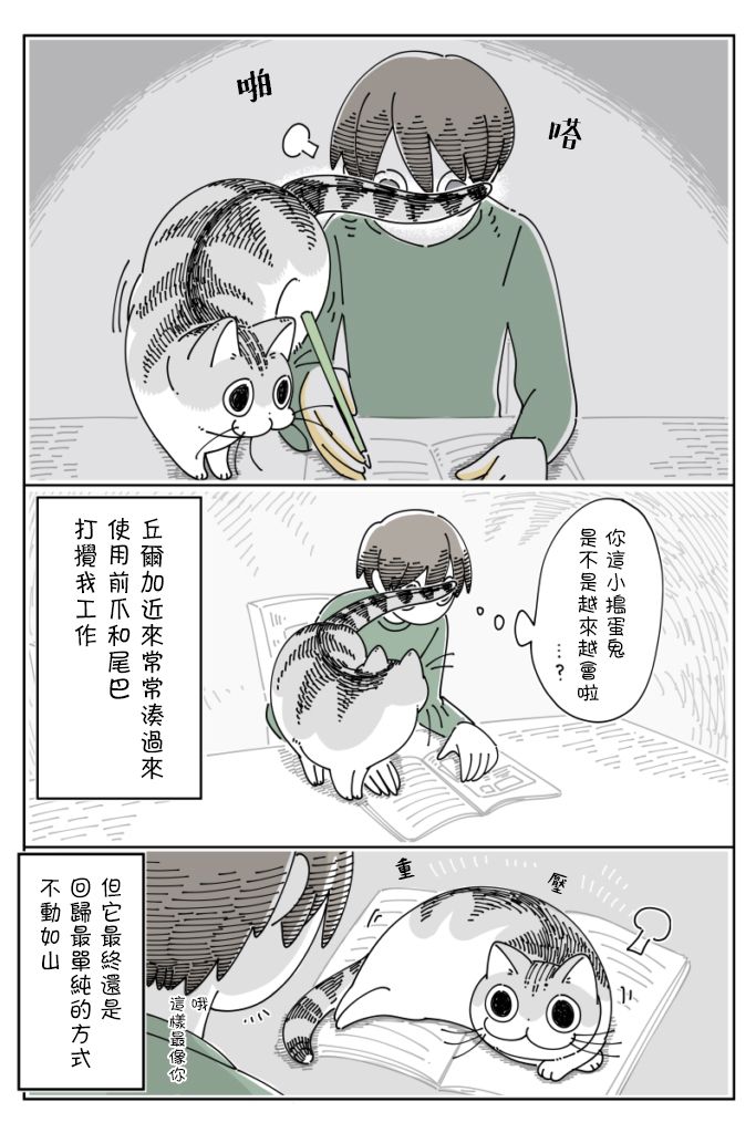 《关于养猫我一直是新手》漫画最新章节第66话免费下拉式在线观看章节第【4】张图片