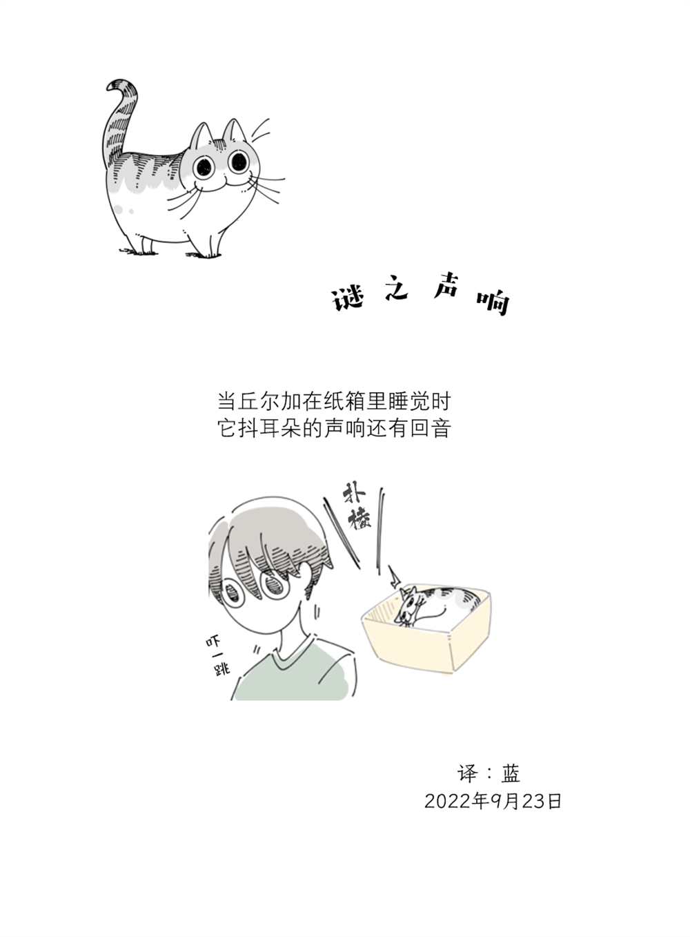 《关于养猫我一直是新手》漫画最新章节第133话免费下拉式在线观看章节第【4】张图片