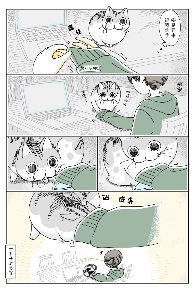 《关于养猫我一直是新手》漫画最新章节第111话免费下拉式在线观看章节第【2】张图片