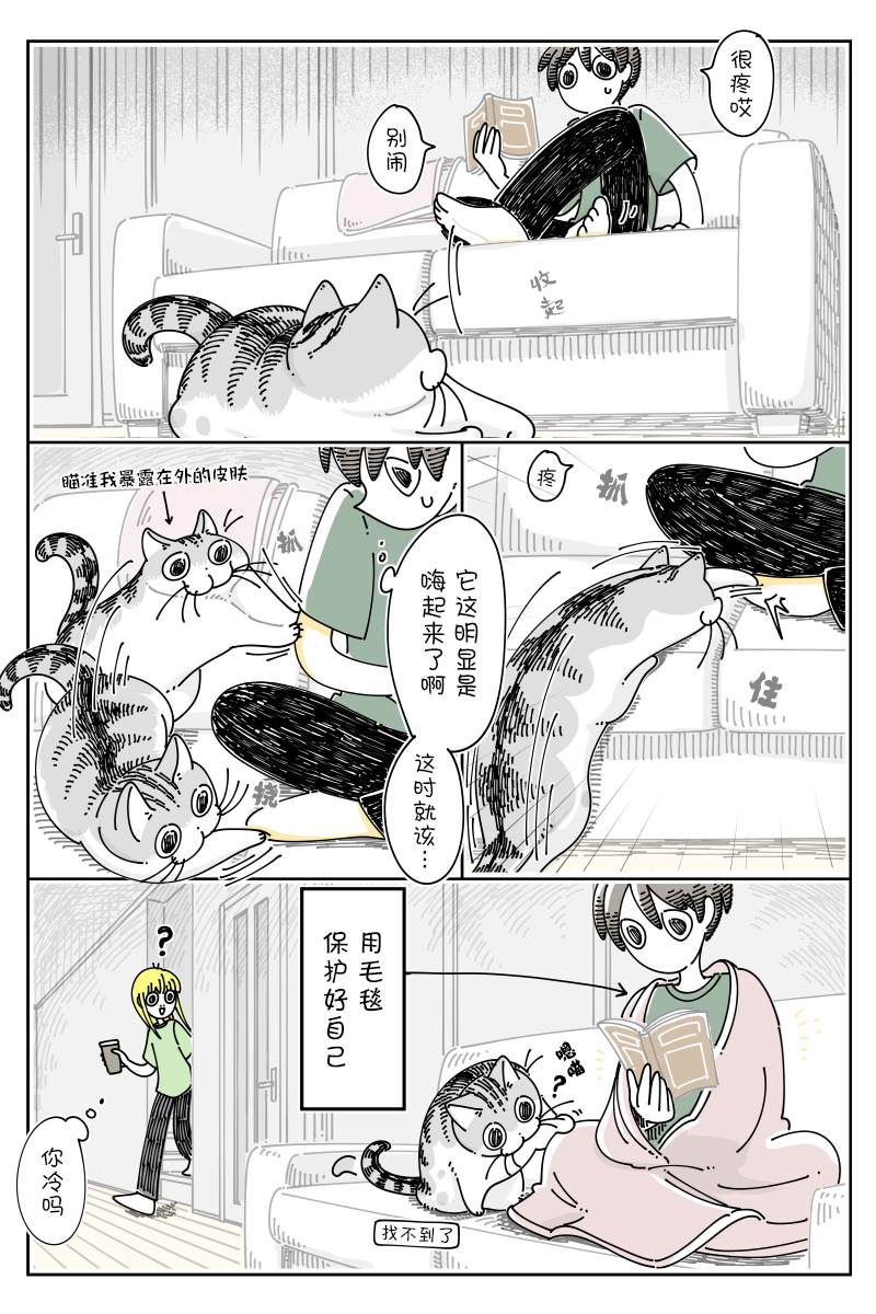 《关于养猫我一直是新手》漫画最新章节第129话免费下拉式在线观看章节第【2】张图片