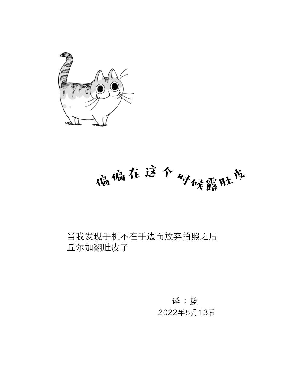 《关于养猫我一直是新手》漫画最新章节第116话免费下拉式在线观看章节第【4】张图片