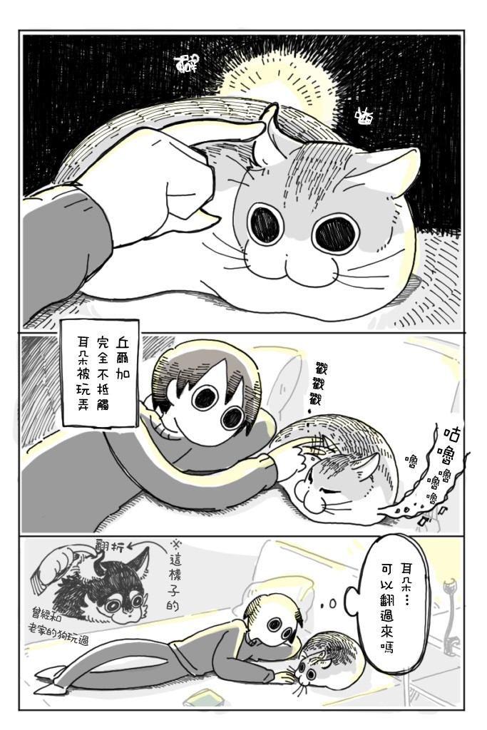 《关于养猫我一直是新手》漫画最新章节第5话免费下拉式在线观看章节第【9】张图片