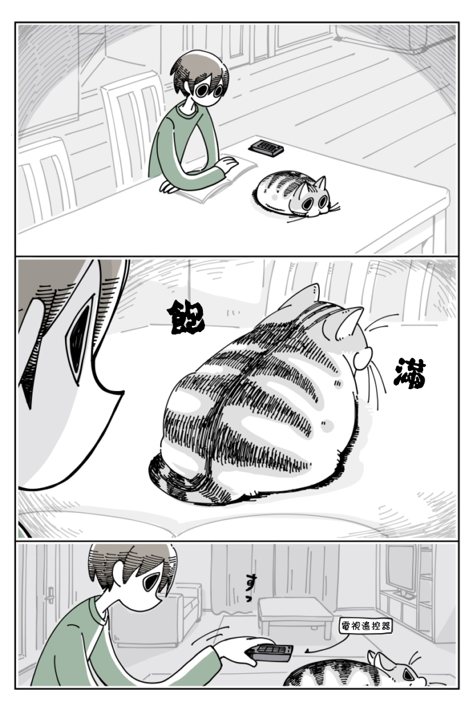 《关于养猫我一直是新手》漫画最新章节第16话免费下拉式在线观看章节第【1】张图片