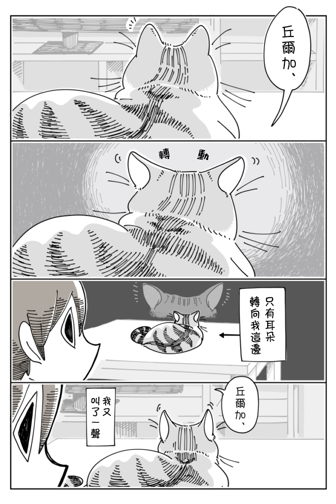 《关于养猫我一直是新手》漫画最新章节第19话免费下拉式在线观看章节第【2】张图片