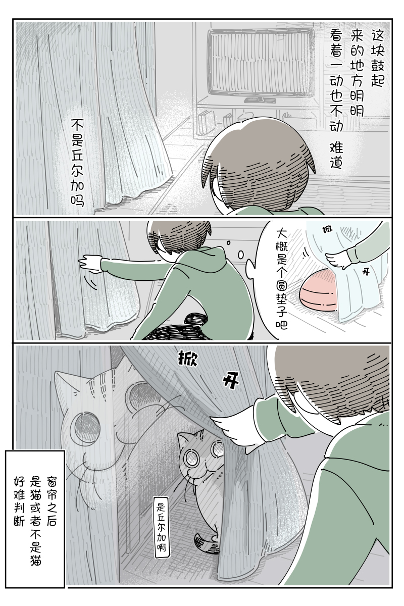 《关于养猫我一直是新手》漫画最新章节第93话免费下拉式在线观看章节第【2】张图片